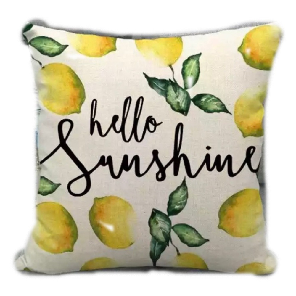 Decorative Pillow Cover